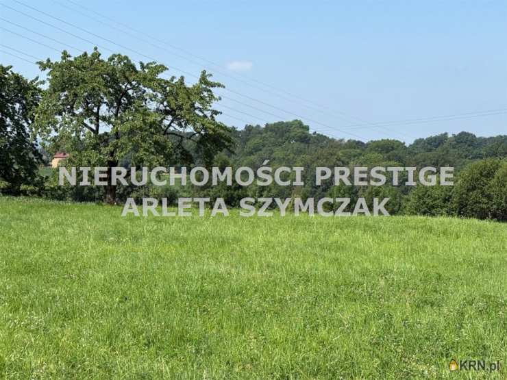 Nieruchomości Prestige, Dom  na sprzedaż, Cieszyn, ul. Łanowa