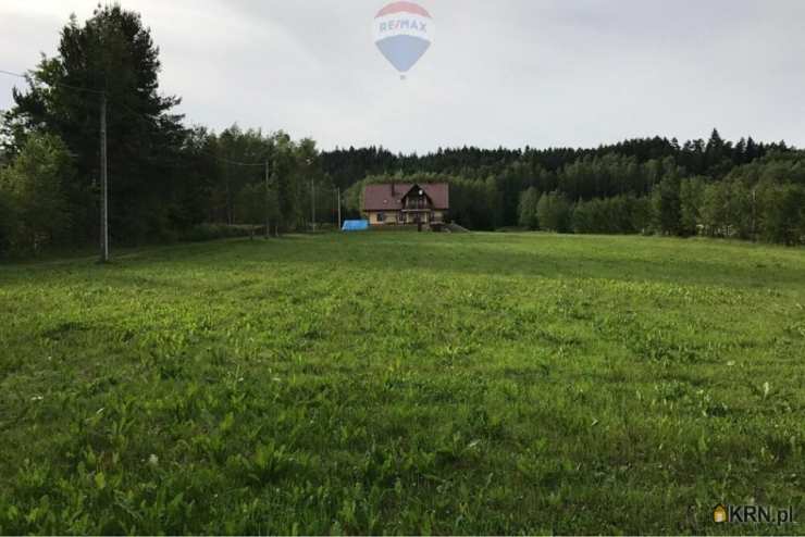 Dom  na sprzedaż, Las, ul. , 6 pokojowe