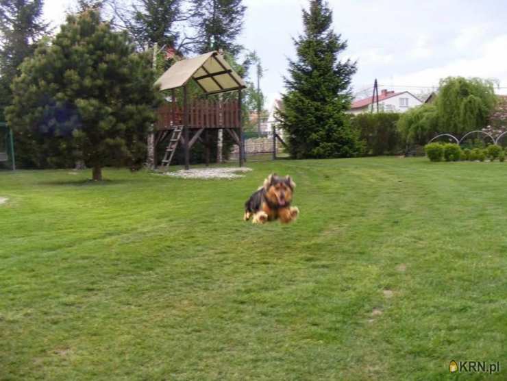 Dom  na sprzedaż, 6 pokojowe, Piotrowice Nyskie, ul. 