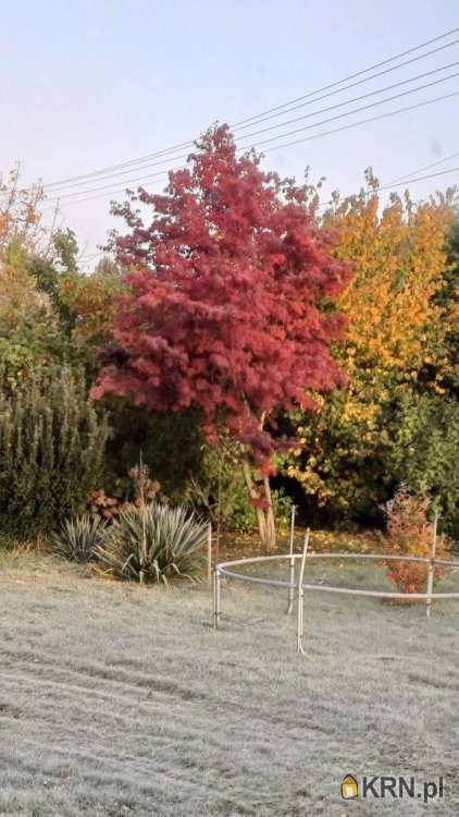 Dom  na sprzedaż, Piotrowice Nyskie, ul. , 6 pokojowe