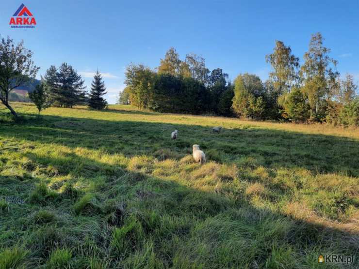 Dom  na sprzedaż, Przyszowa, ul. , 