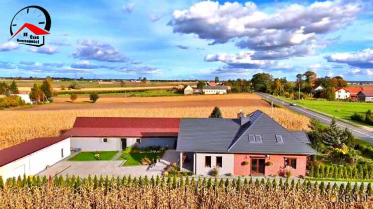 Dom  na sprzedaż, 5 pokojowe, Wilczyn, ul. 