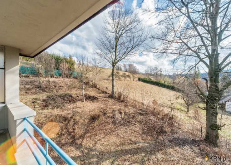 RE/MAX Polska, Dom  na sprzedaż, Wisła, ul. 