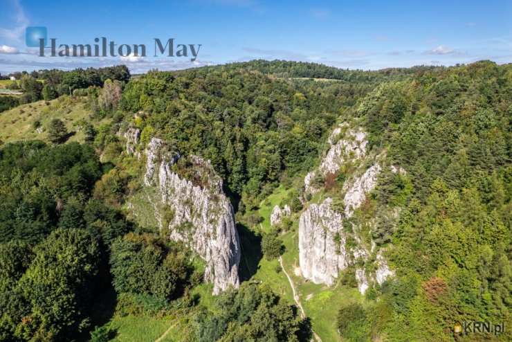 Dom  do wynajęcia, , Bolechowice, ul. 