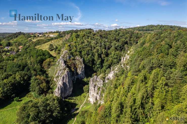 Dom  do wynajęcia, , Bolechowice, ul. 