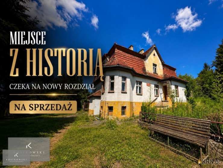 Dom  na sprzedaż, Wabienice, ul. , 
