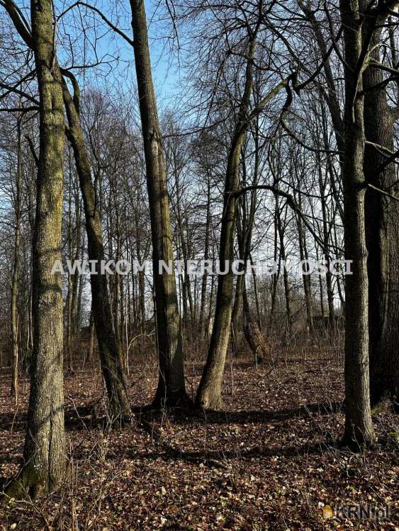 Dom  na sprzedaż, Banie Mazurskie, ul. , 