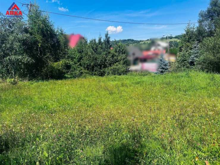 Tenczyn, ul. , Dom  na sprzedaż, 