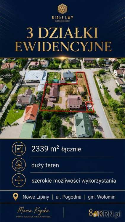 Dom  na sprzedaż, Nowe Lipiny, ul. , 4 pokojowe