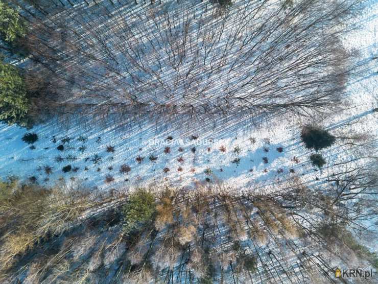 BRACIA SADURSCY ODDZIAŁ BS4 KROWODRZA, Dom  na sprzedaż, Brzezie, ul. 