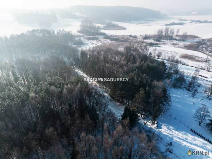 Dom  na sprzedaż, , Brzezie, ul. 