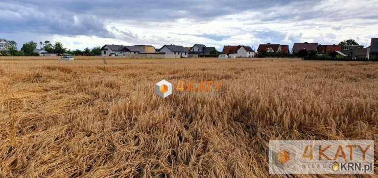 Dom  na sprzedaż, Dąbrówka Wielkopolska, ul. , 5 pokojowe