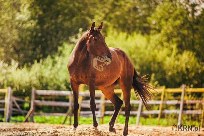 Warszawa, Wilanów, ul. , 5 pokojowe, Dom  na sprzedaż