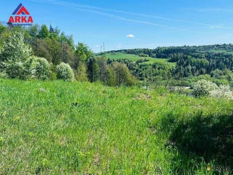 Dom  na sprzedaż, Raba Niżna, ul. , 