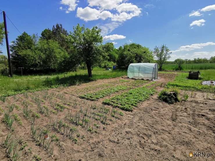 Białawy Małe, ul. , 6 pokojowe, Dom  na sprzedaż