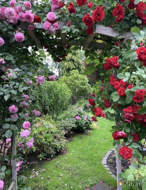 Racibórz, ul. , Dom  na sprzedaż, 8 pokojowe