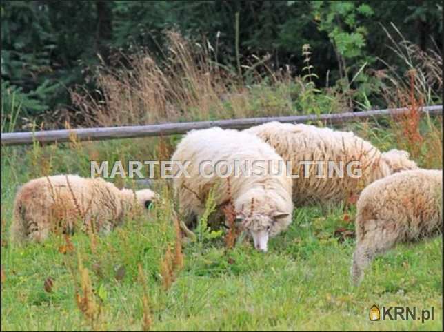 Dom  na sprzedaż, , Istebna, ul. 