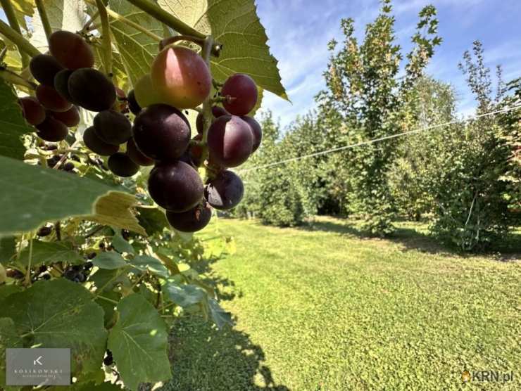 Kosikowski Nieruchomości, Dom  na sprzedaż, Bukowie, ul. 