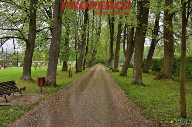 Dom  na sprzedaż, Oblęgorek, ul. , 