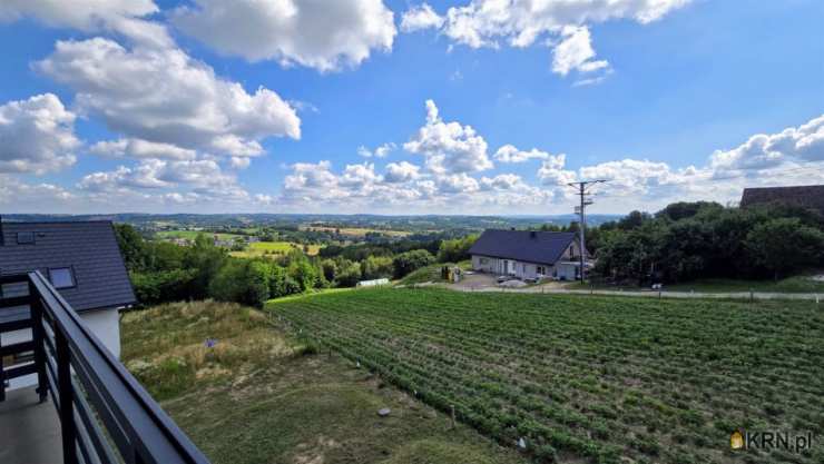 Borzęta, ul. , Dom  na sprzedaż, 