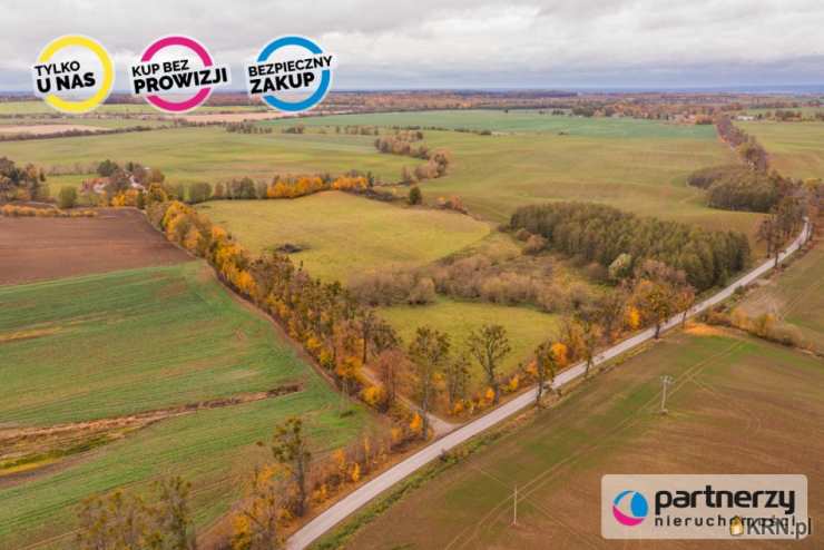 6 pokojowe, Myślice, ul. , Dom  na sprzedaż