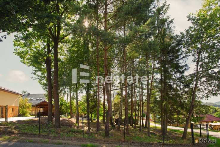 Nowak Estate, Dom  na sprzedaż, Limanowa, ul. Lisia