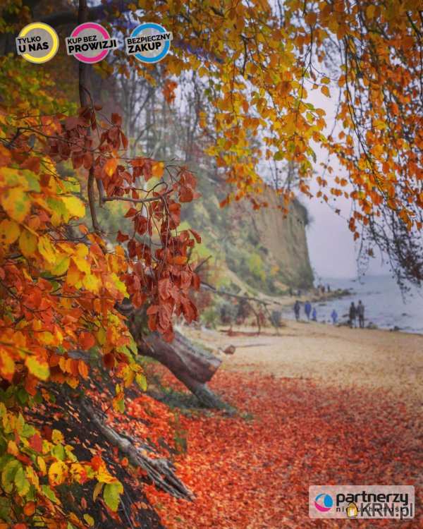 Dom  na sprzedaż, 7 pokojowe, Gdynia, Redłowo, ul. Ułańska