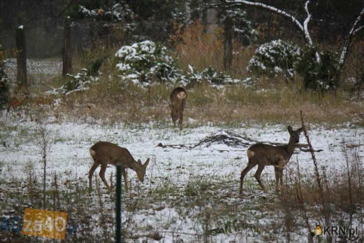 Dom  na sprzedaż, Imielin, ul. Satelicka, 5 pokojowe