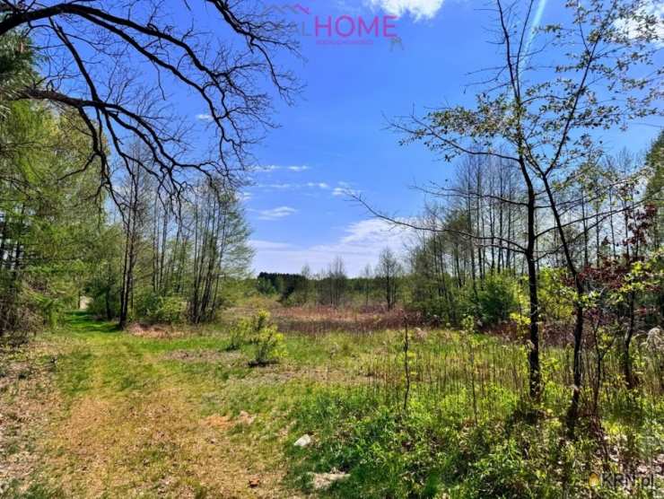 Majdan Królewski, ul. , 2 pokojowe, Dom  na sprzedaż