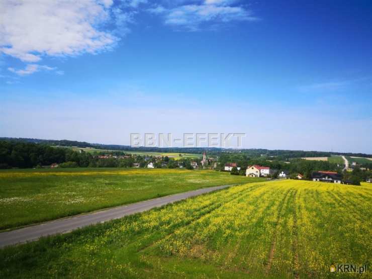 Bielskie Biuro Nieruchomości EFEKT- Krzysztof Filipek , Dom  do wynajęcia, Międzyrzecze Górne, ul. 
