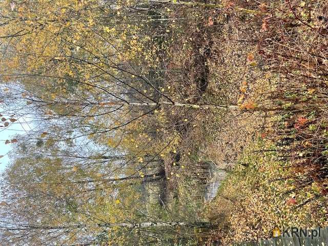 Lipno, ul. , 10 pokojowe, Dom  na sprzedaż