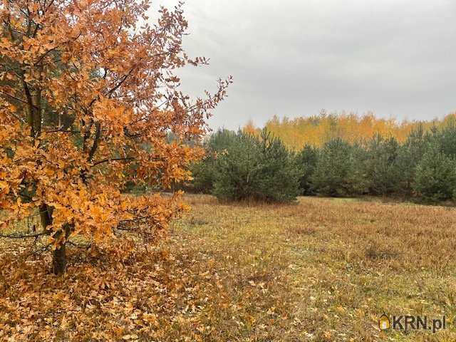 Lipno, ul. , Dom  na sprzedaż, 10 pokojowe