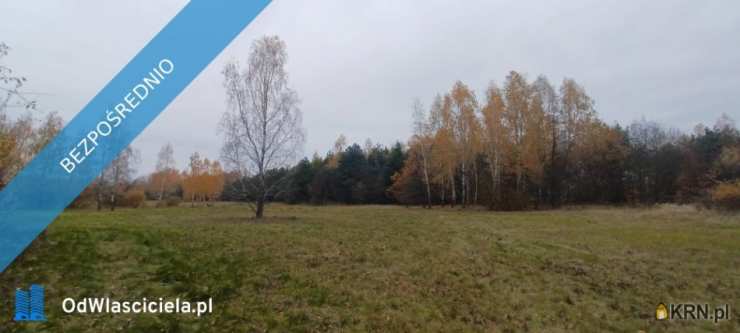 9 pokojowe, Tarczyn, ul. , Dom  na sprzedaż