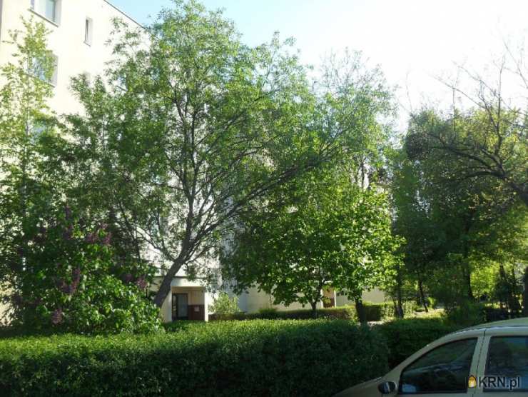 Dom  na sprzedaż, Toruń, Chełmińskie Przedmieście, ul. , 11 pokojowe