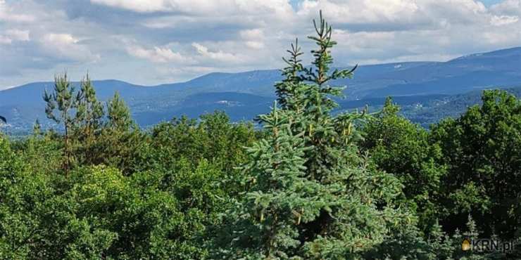 Dom  na sprzedaż, Wojcieszyce, ul. , 5 pokojowe