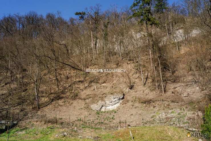 Dom  na sprzedaż, Kraków, Zwierzyniec, ul. Księcia Józefa, 