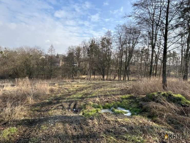 9 pokojowe, Dom  na sprzedaż, Ogrodzona, ul. 