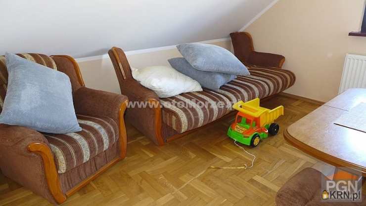 Dom  na sprzedaż, Wolin, ul. Wiejska, 12 pokojowe