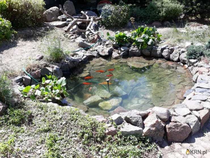 Zborowo, ul. , 6 pokojowe, Dom  na sprzedaż