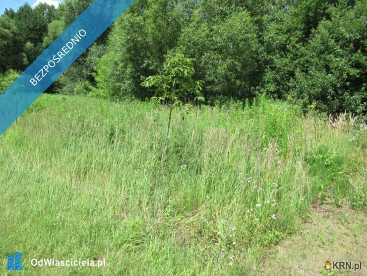 Dom  na sprzedaż, 1 pokojowe, Dyszów, ul. B. Prusa