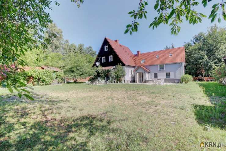 Dom  do wynajęcia, , Żmigród, ul. 