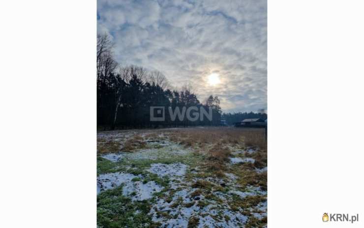 3 pokojowe, Dominice, ul. , Dom  na sprzedaż