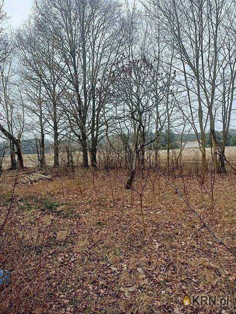 Dom  na sprzedaż, , Brzeziny, ul. 