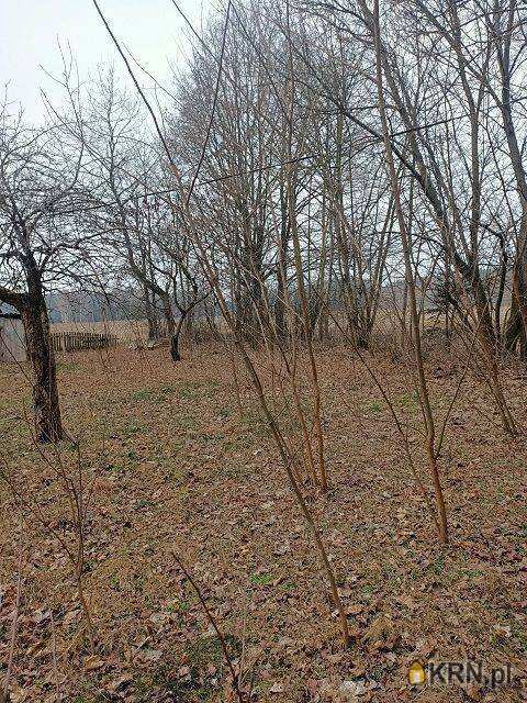 Brzeziny, ul. , Dom  na sprzedaż, 