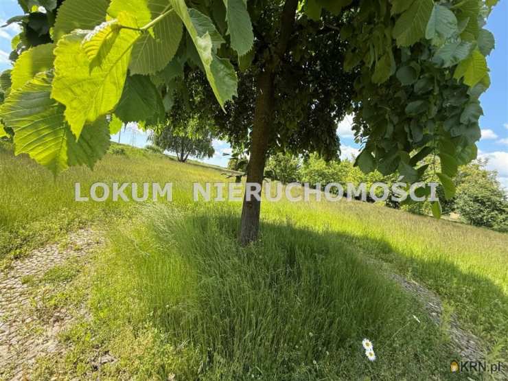 Jastrzębie-Zdrój, ul. , Dom  na sprzedaż, 