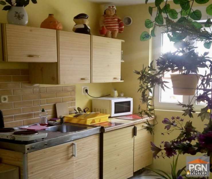 15 pokojowe, Dom  na sprzedaż, Międzywodzie, ul. 