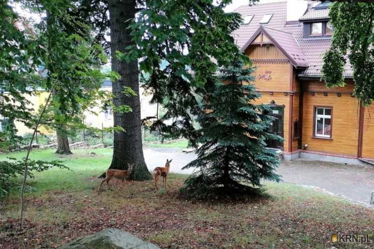 Szklarska Poręba, ul. , Dom  na sprzedaż, 15 pokojowe