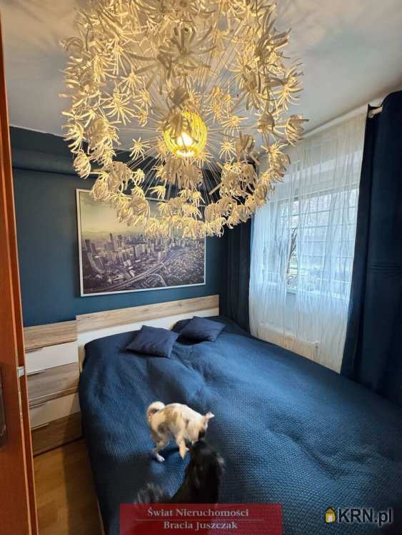 Wrocław, Śródmieście/Zalesie, ul. , , Dom  na sprzedaż