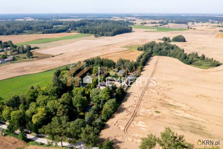 11 pokojowe, Tomaszewo, ul. , Dom  na sprzedaż