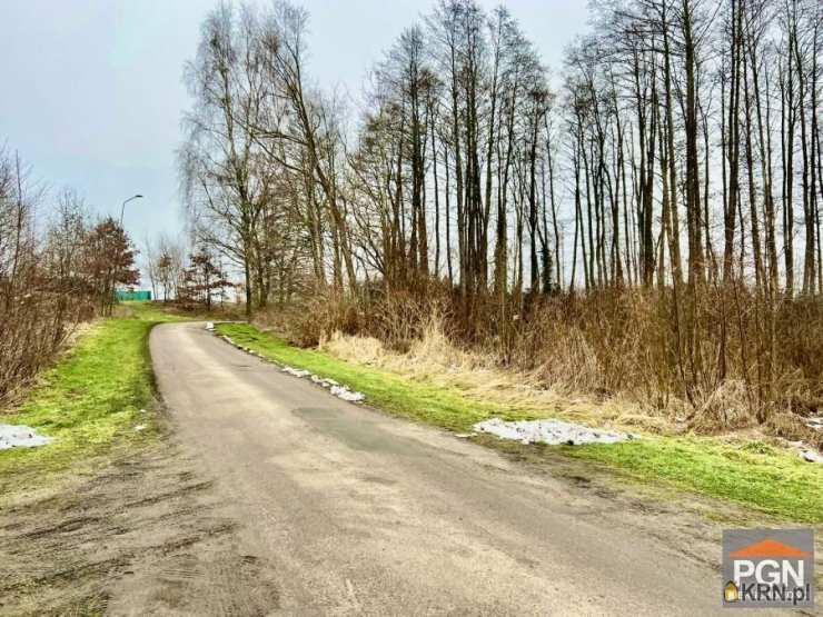 Golczewo, ul. Stary Tartak, 12 pokojowe, Dom  na sprzedaż